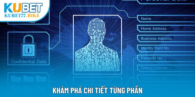 Khám phá chi tiết từng phần