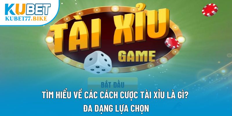 Tìm hiểu về các cách cược tài xỉu là gì? Đa dạng lựa chọn